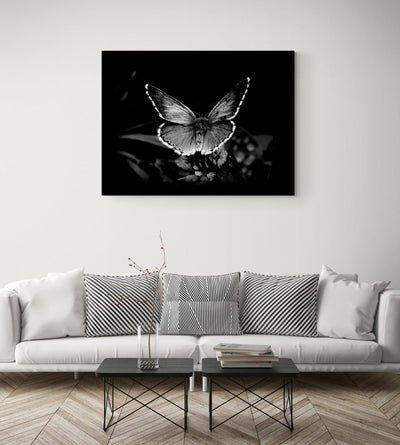 Canvas Beautiful Butterfly