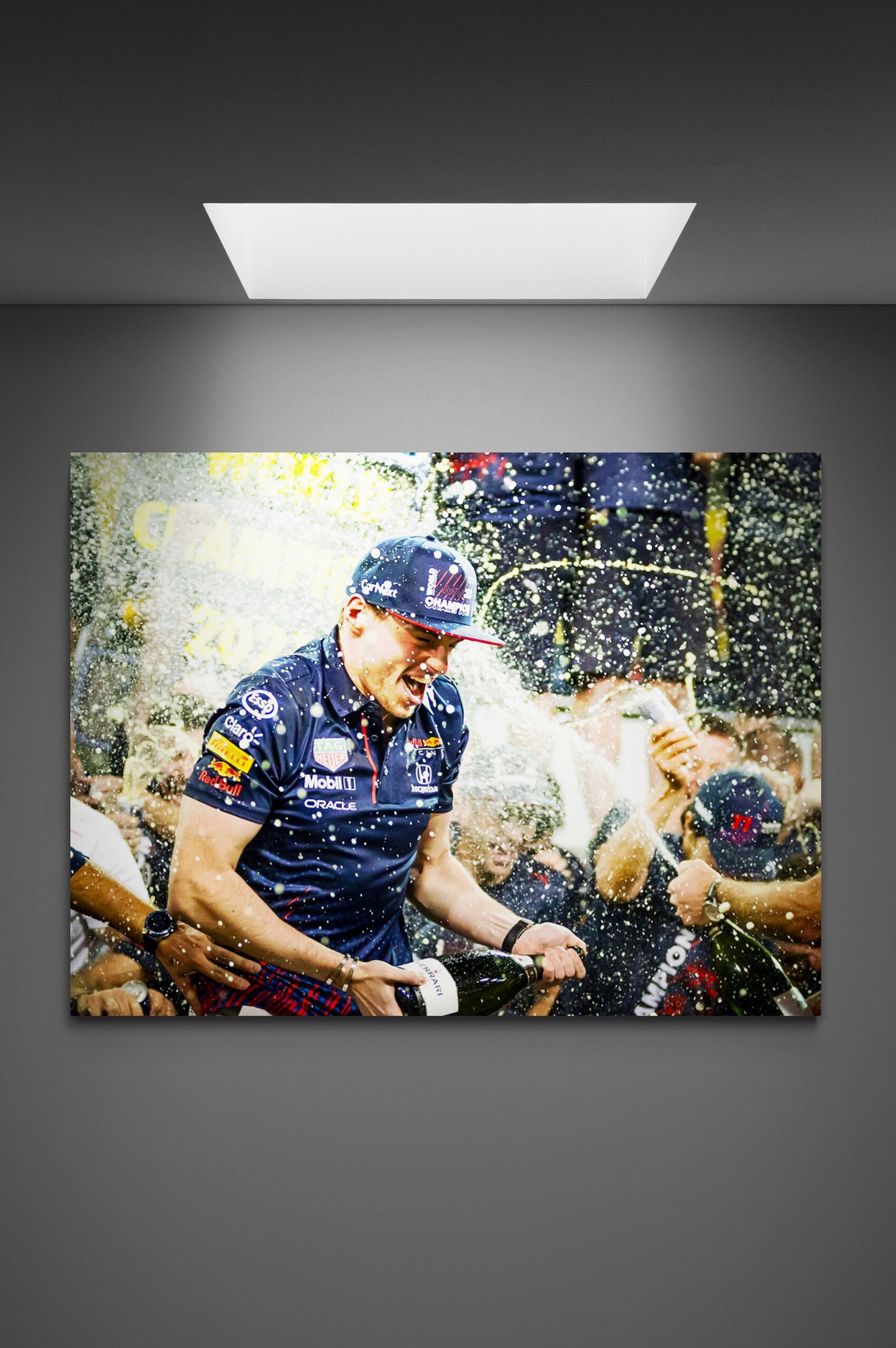 Canvas Max Verstappen celebrating