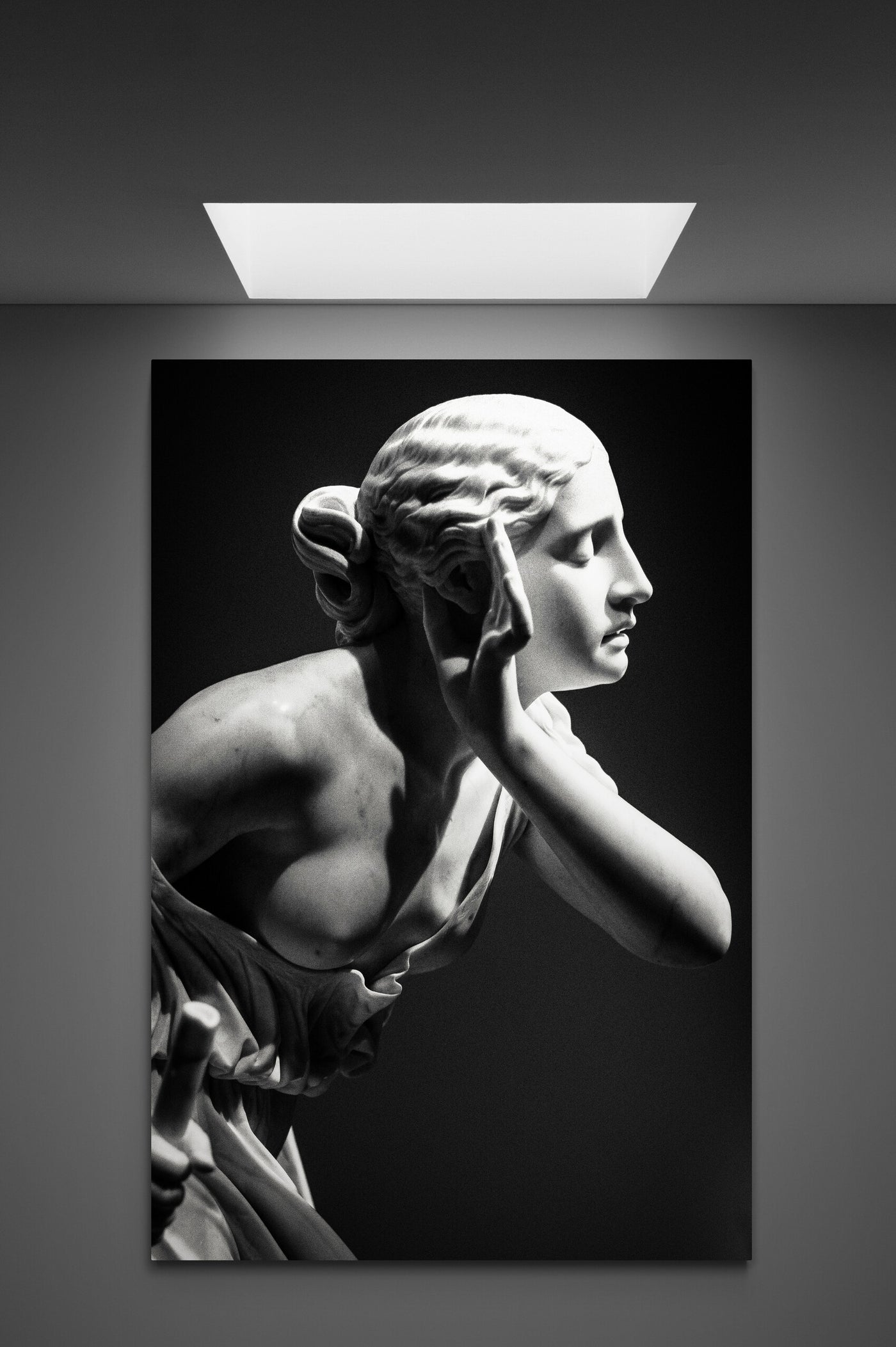Tablou Canvas Sculptura black & white