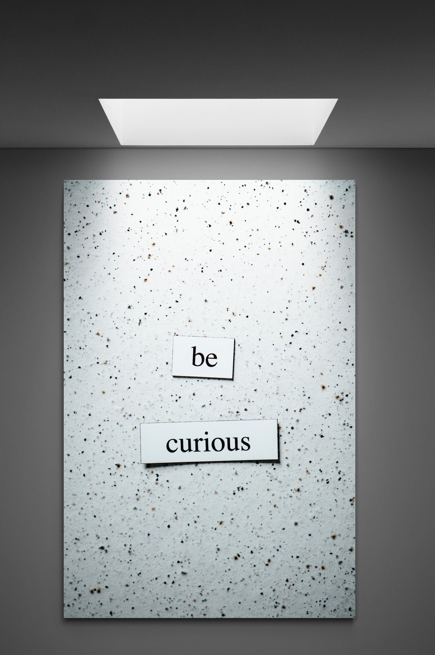 Tablou Canvas "Be curious"