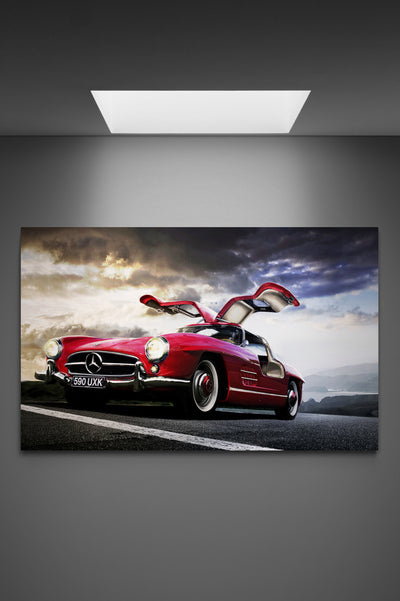 Tablou canvas Mercedes collection wild