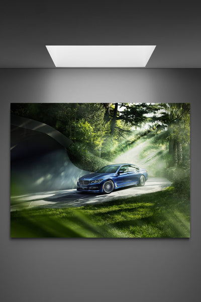 Tablou canvas BMW Seria 7 in nature
