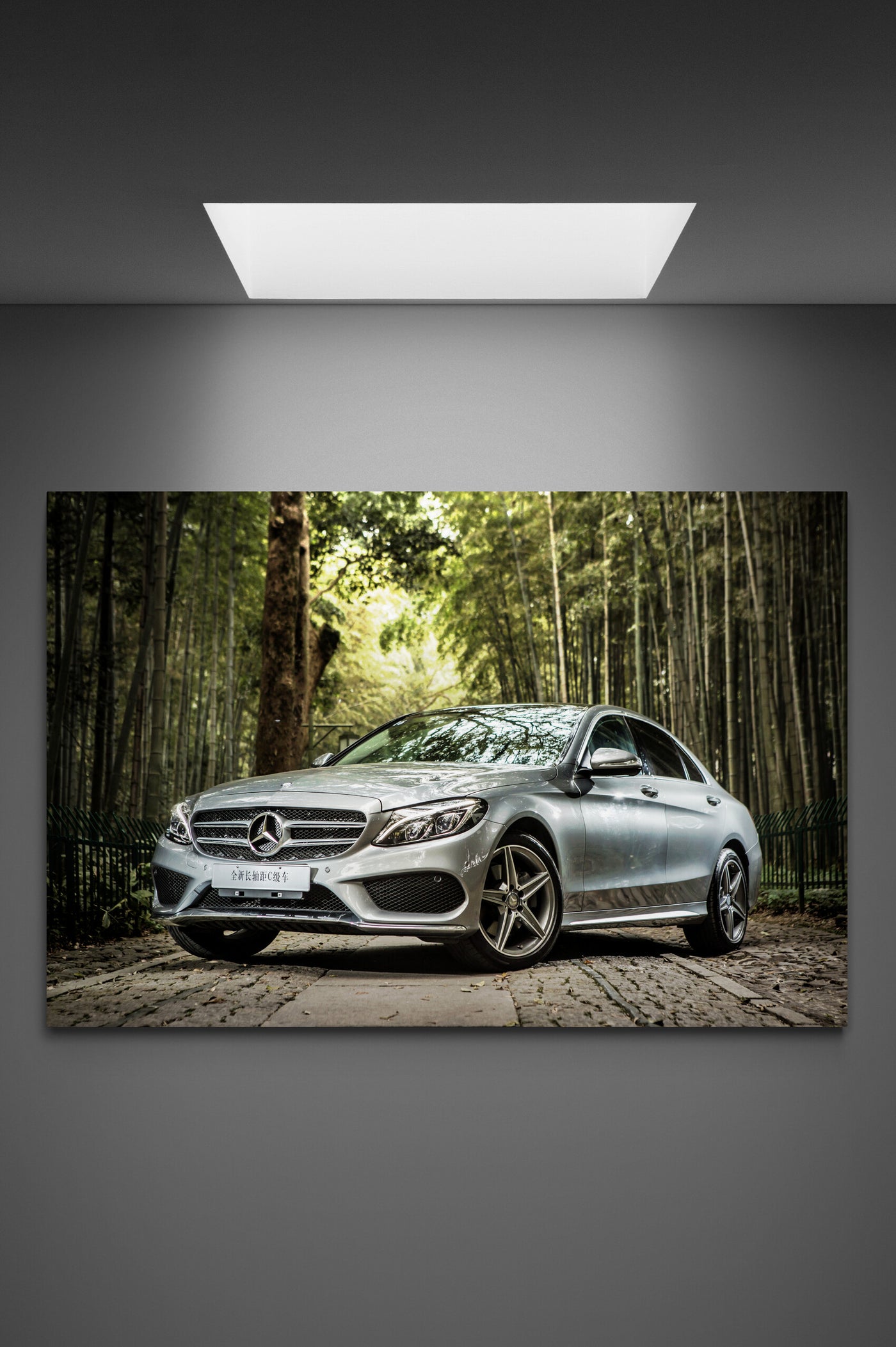 Tablou canvas Mercedes-Benz C-Class in nature