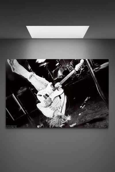 Tablou Canvas Nirvana upside down