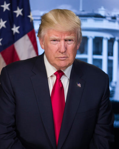 Tablou portret Donald Trump
