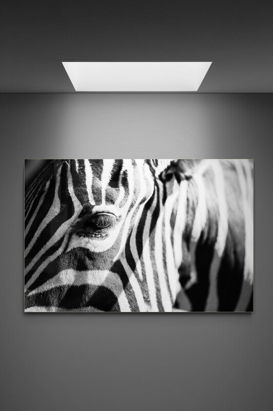 Canvas decorativ The Zebra