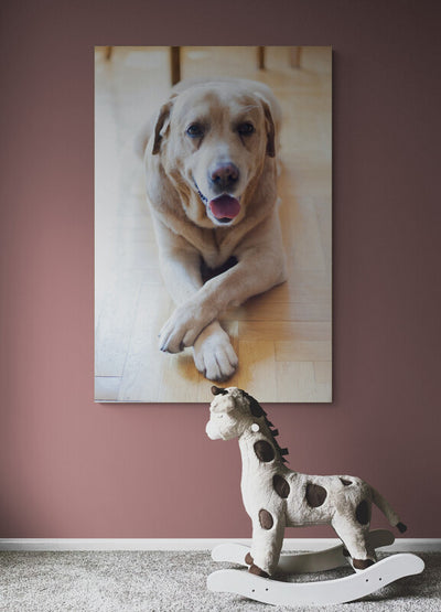 Tablou canvas Sweet dog look