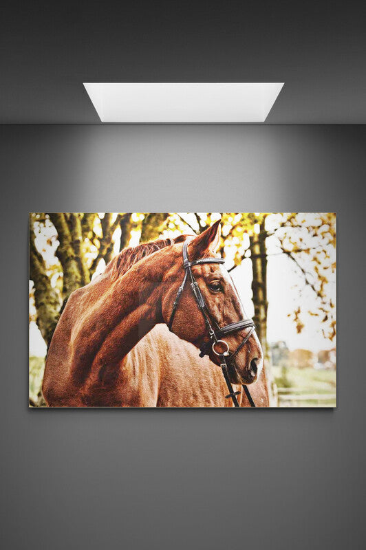Tablou canvas Horse Picture