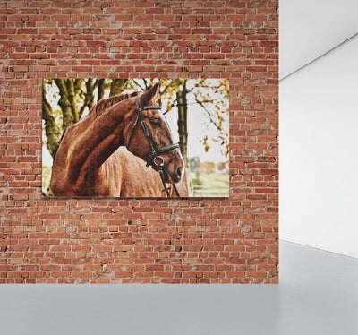 Tablou canvas Horse Picture