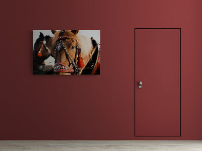 Canvas decorativ Portretul unui cal in hamuri de sarbatoare