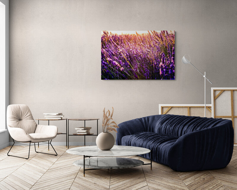 Canvas Lavanda