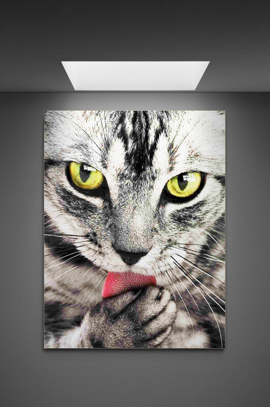 Canvas decorativ Pisica cu limba scoasa