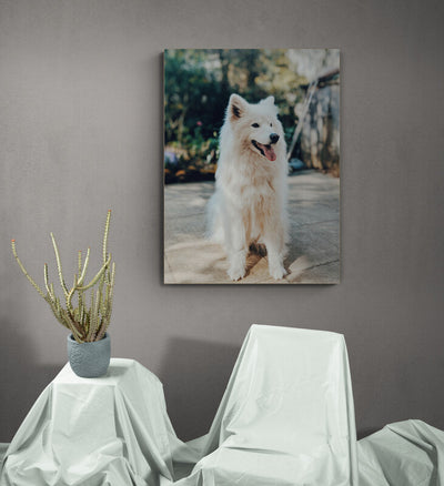 Tablou canvas Fain White Dog