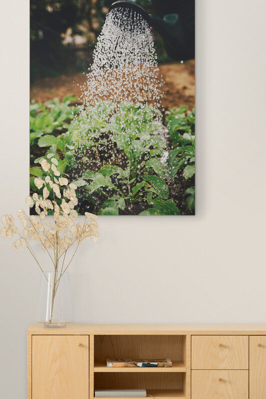 Canvas decorativ Plante irigate