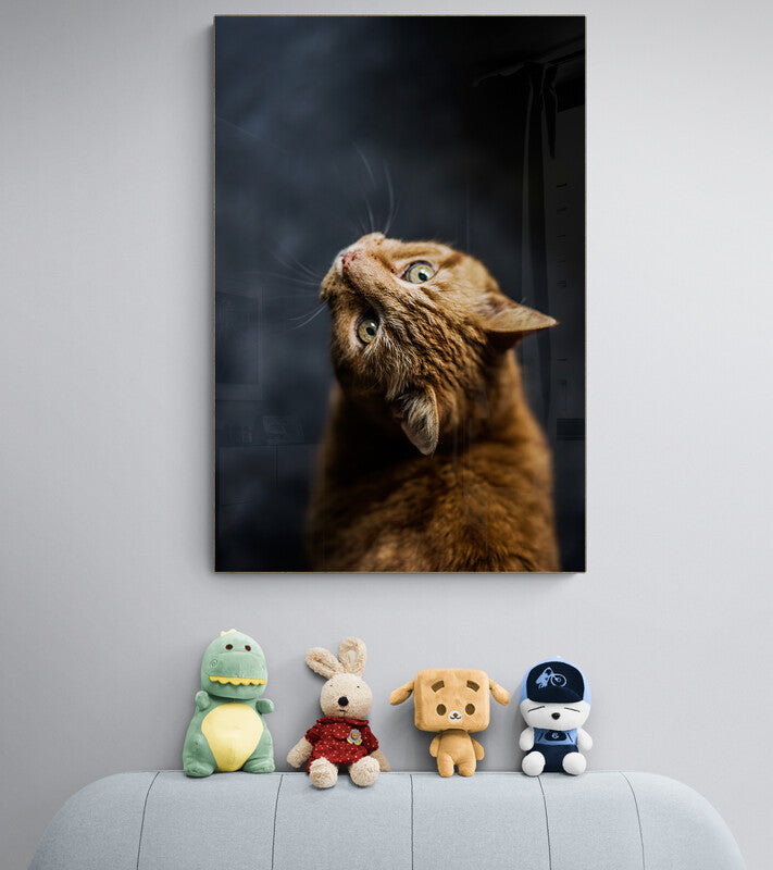 Canvas-decorativ-Pisica cu capul intors