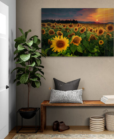 Tablou canvas Camp cu floarea soarelui