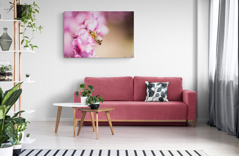 Tablou canvas Albinuta in flori