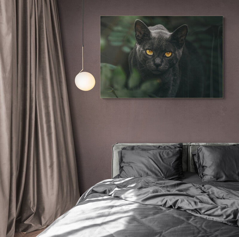 Tablou canvas Pisica neagra