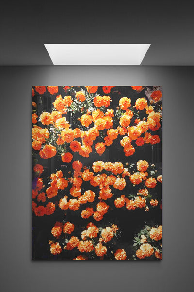 Tabloul canvas Flori portocalii