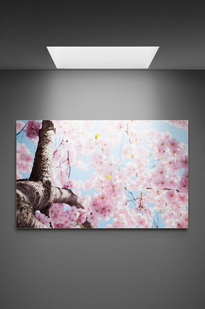 Tablou canvas Flori de cires