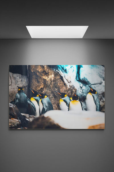 Tablou decorativ Pinguini