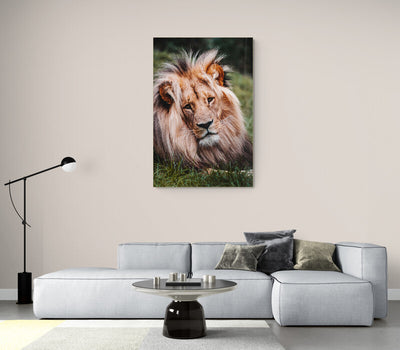 Canvas portret Leul, regele animalelor